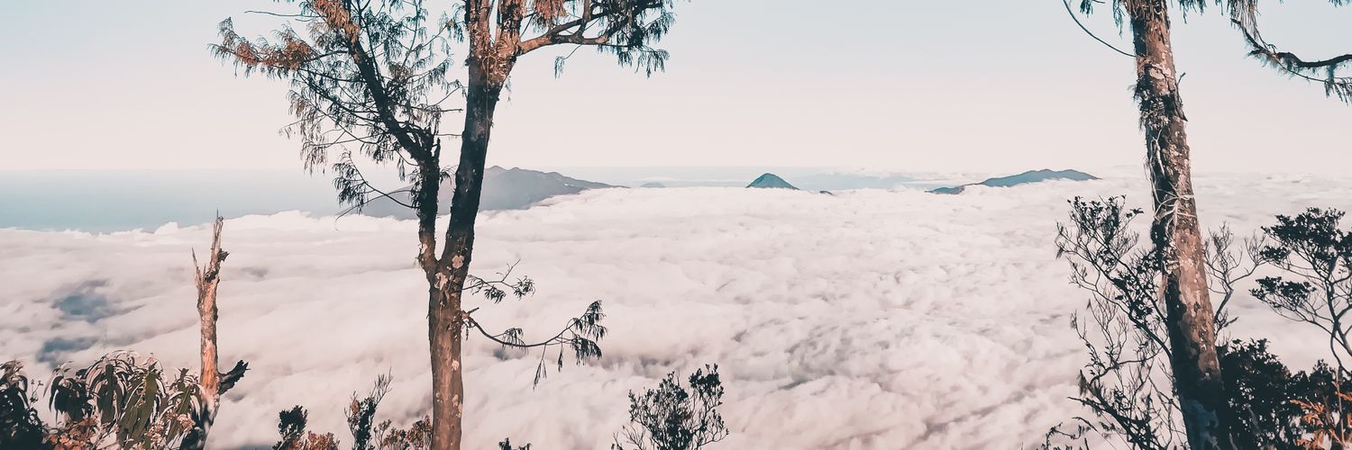 MochT_S's profile banner image