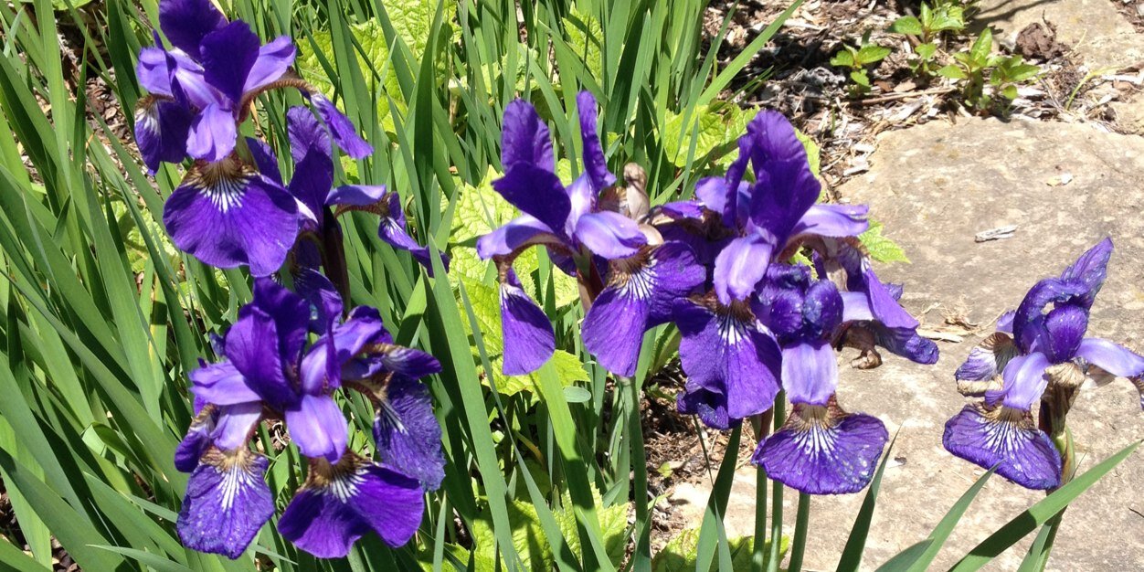 JPLCline's profile banner image