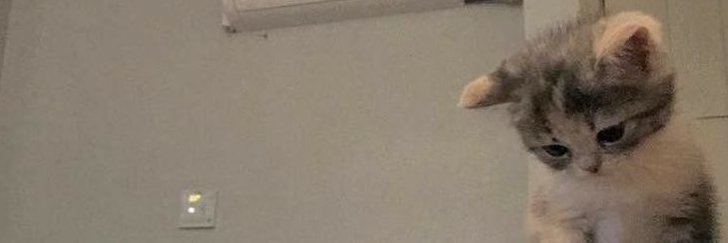 laurensometv's profile banner image
