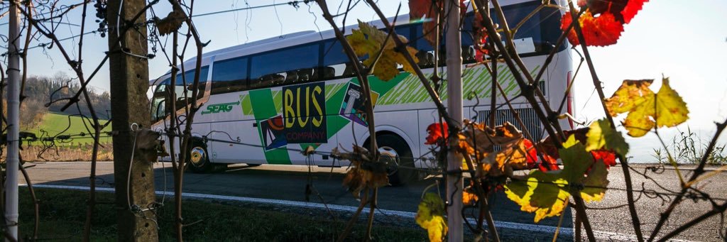LineaVerdeBus's profile banner image