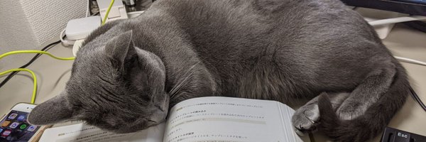 masoho Profile Banner