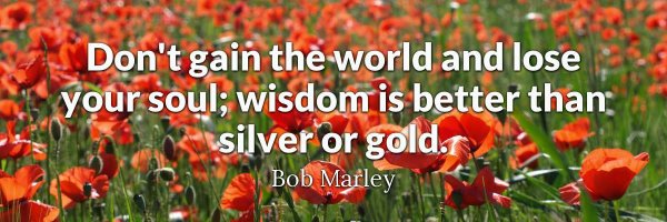 Marie_Ang Profile Banner