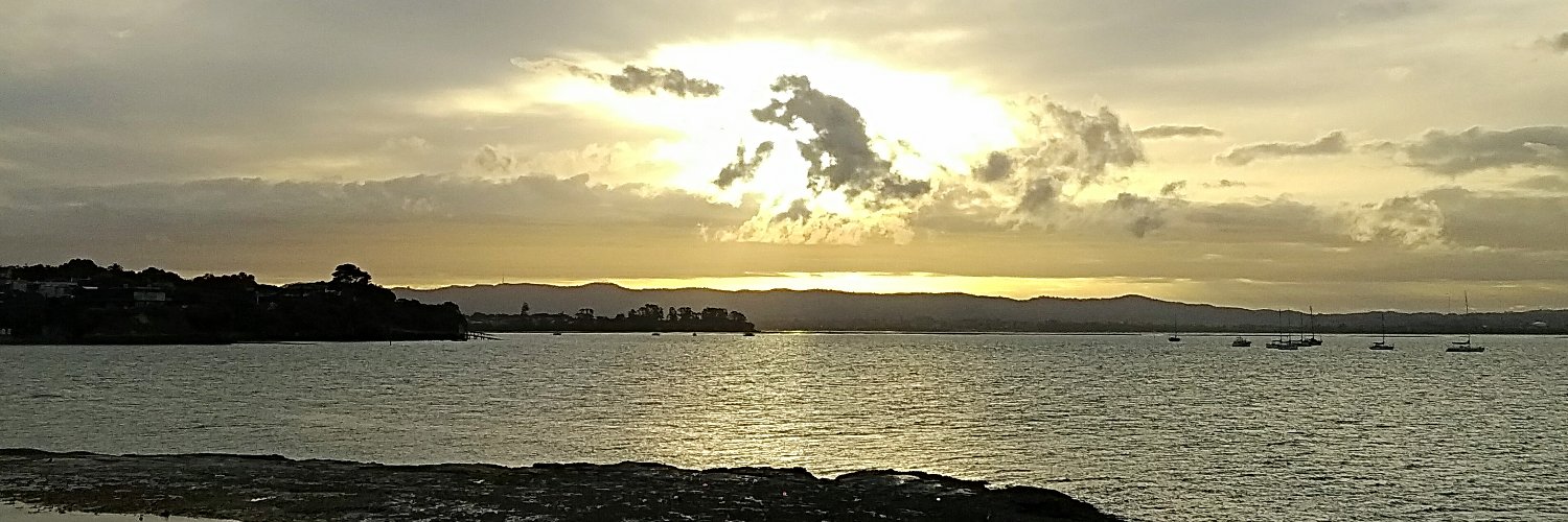 Stephen Tonnies banner