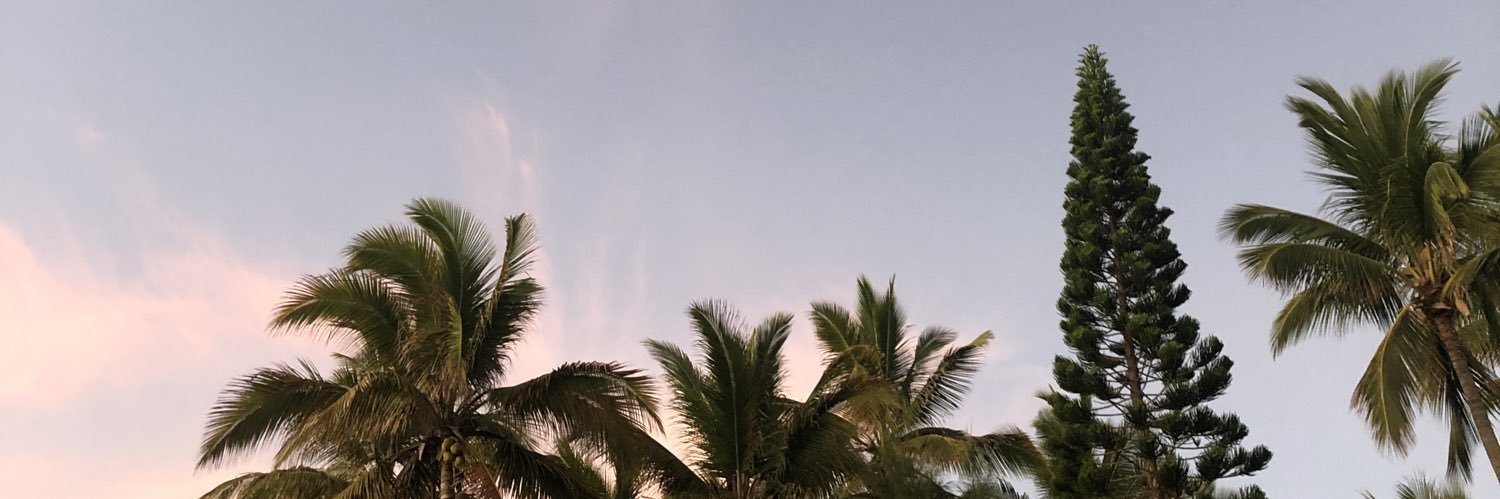 InesLopesDe's profile banner image
