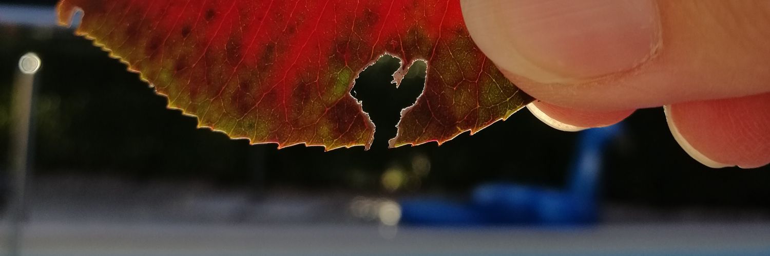 71silke's profile banner image