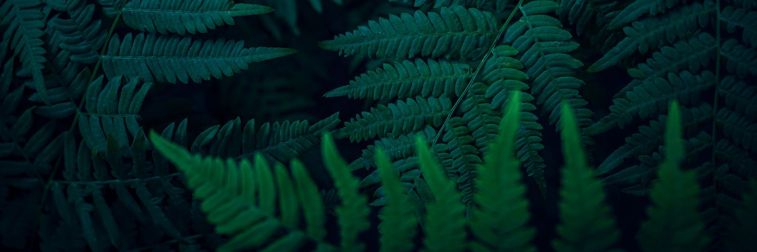 pafflick's profile banner image