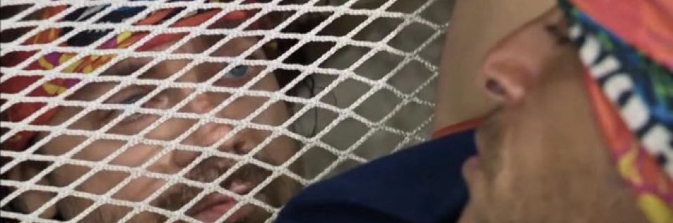 Lauren Rogers banner