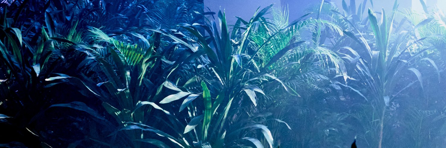 choimings's profile banner image