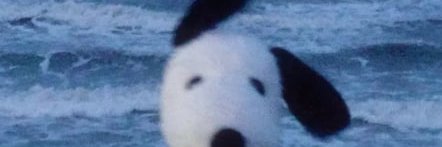 darvik99's profile banner image