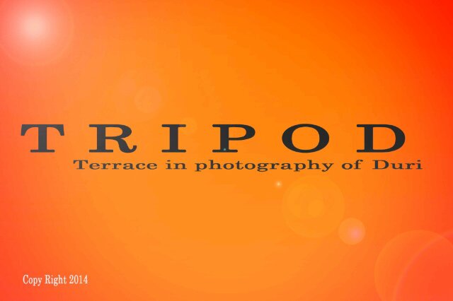 P_tripod's profile banner image