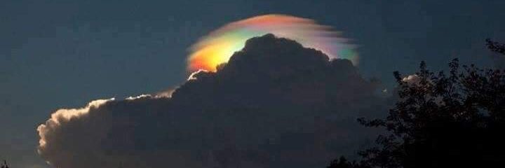 Sam 🕺🕺 He/Him banner