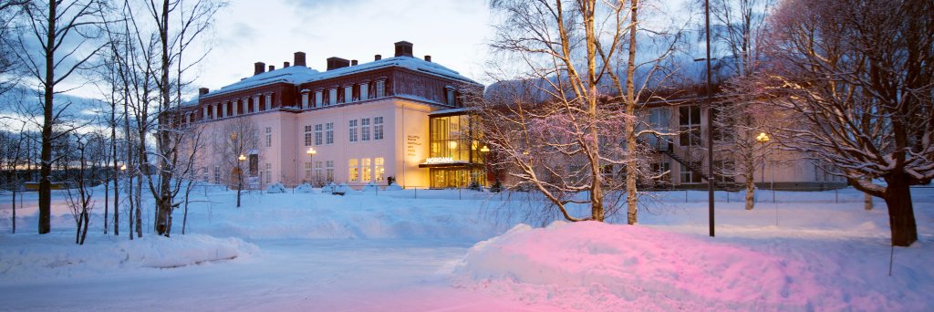 Skellefteå museum banner