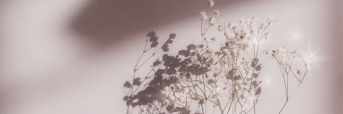 casie banner