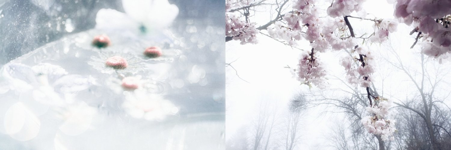 rizhiie's profile banner image