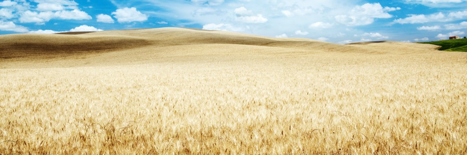 Jhs83's profile banner image