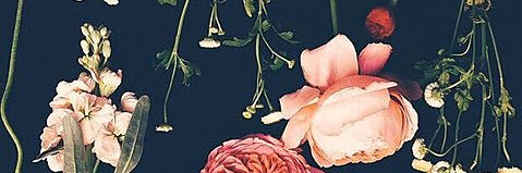 Ko8423's profile banner image
