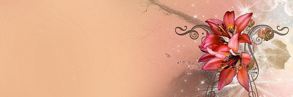 AngelaNasta12's profile banner image