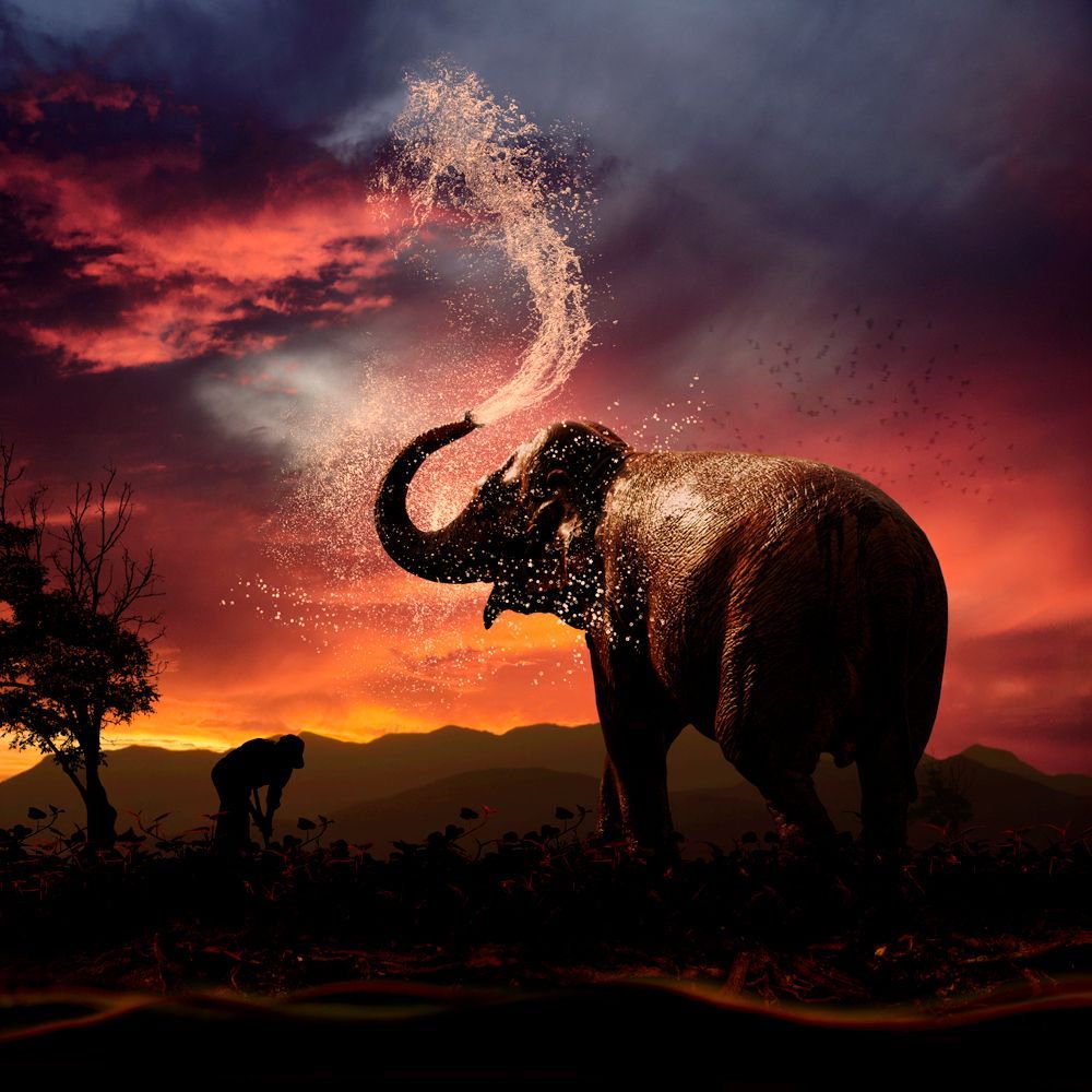 FrogyD's profile banner image