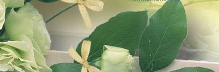 hukkunna's profile banner image