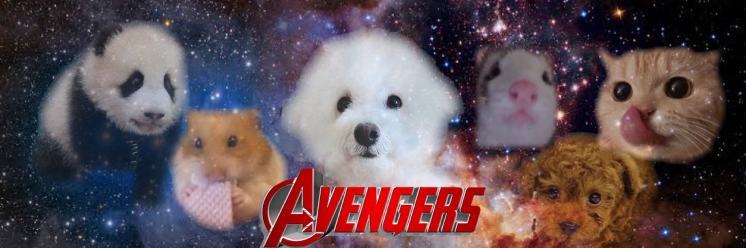 koji_scene's profile banner image