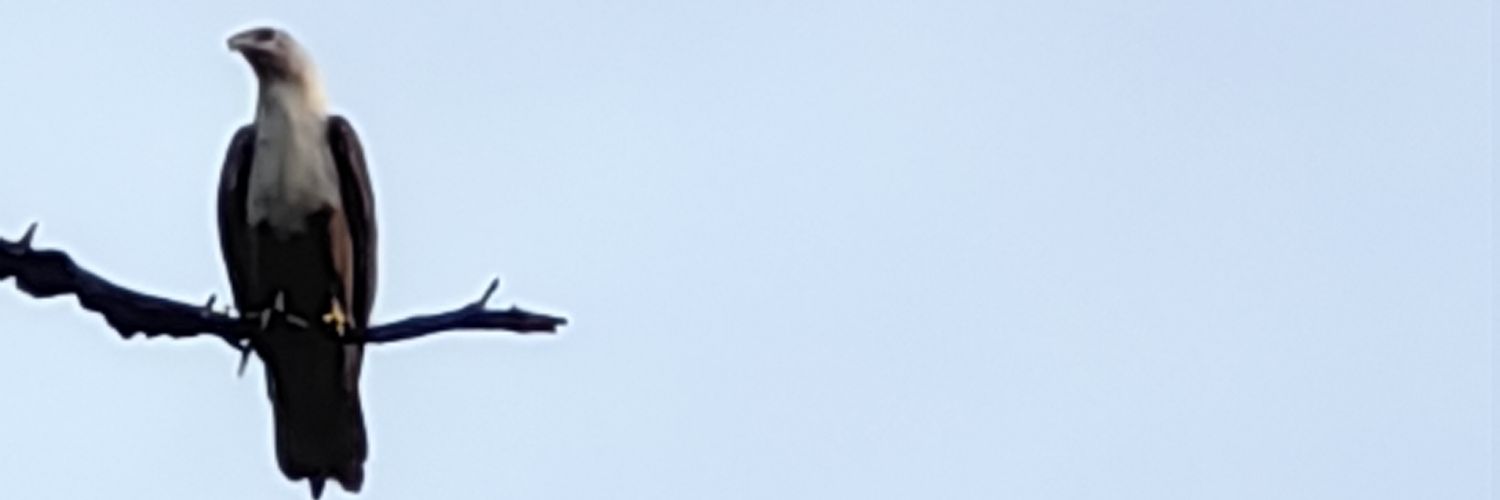 portable1405's profile banner image