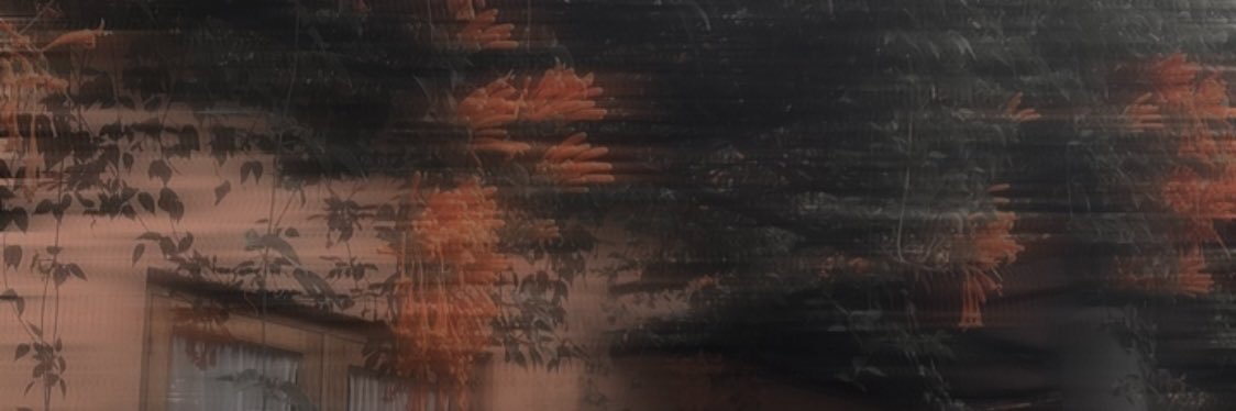 Honzerk banner