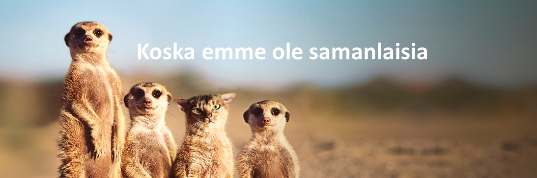 Harri Ojanperä banner