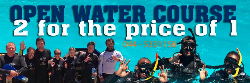 Prodive Plett banner