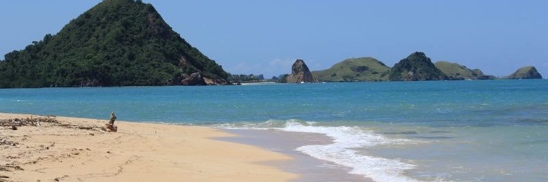 Rosalie Dobson ✈️🏝🏕💙🐾🦮🌊🥂 banner