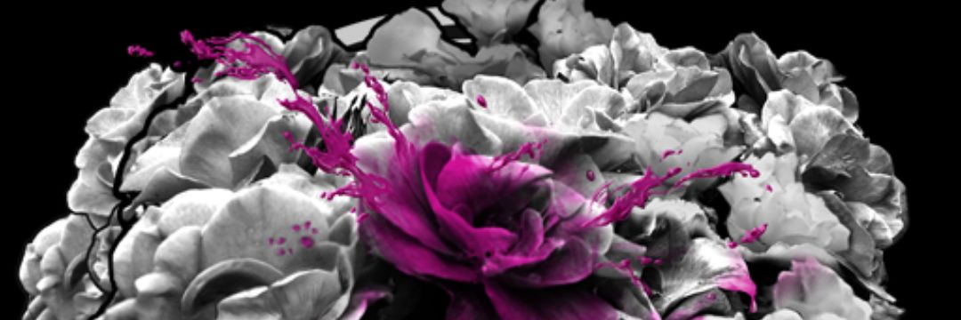 SinWr's profile banner image