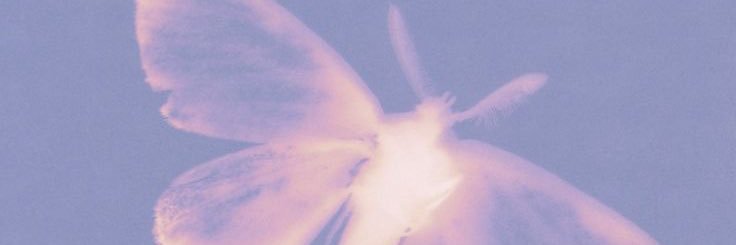 cabellatnet's profile banner image