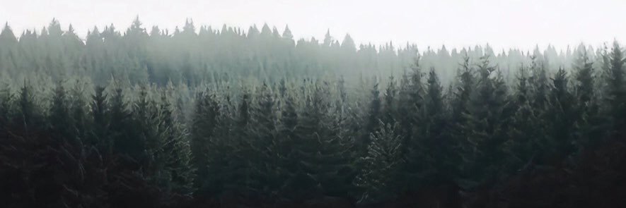 ___cnsm's profile banner image