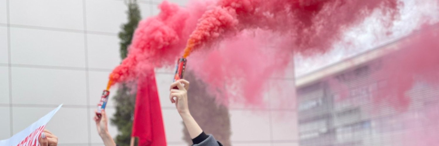 Prishtina Insight banner