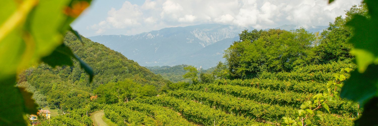 AsoloProsecco's profile banner image