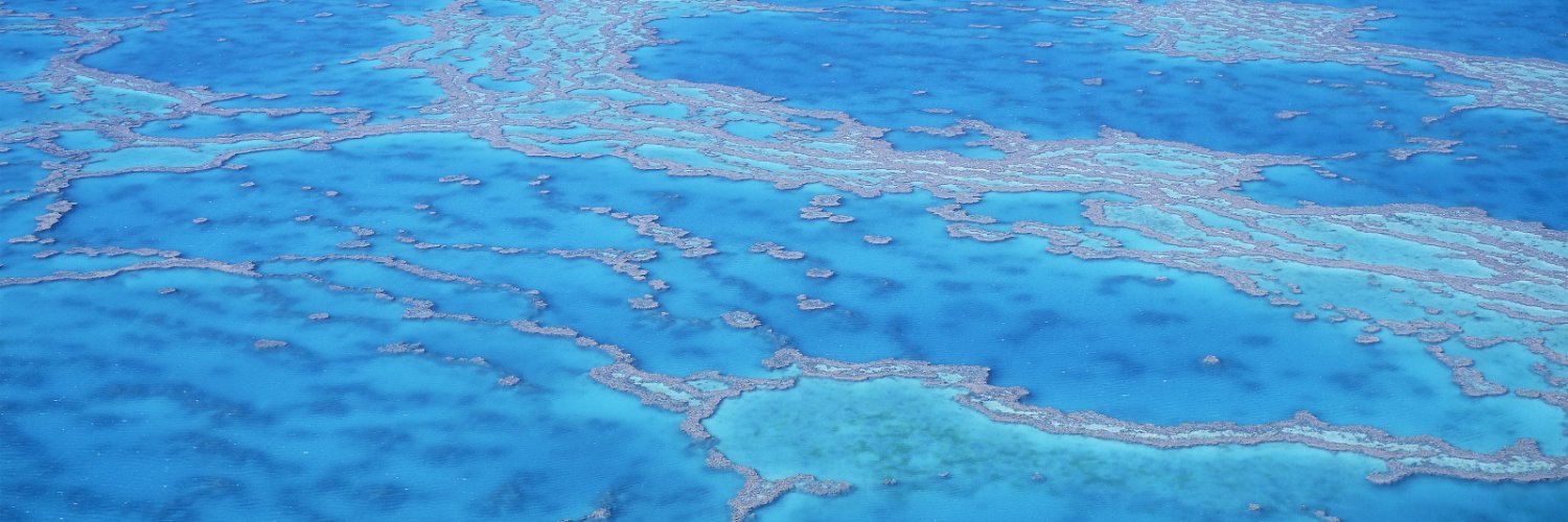 WES-FROM-A'DAM-'77 banner