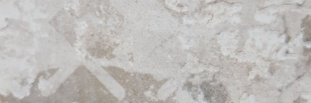 Natinatigr's profile banner image