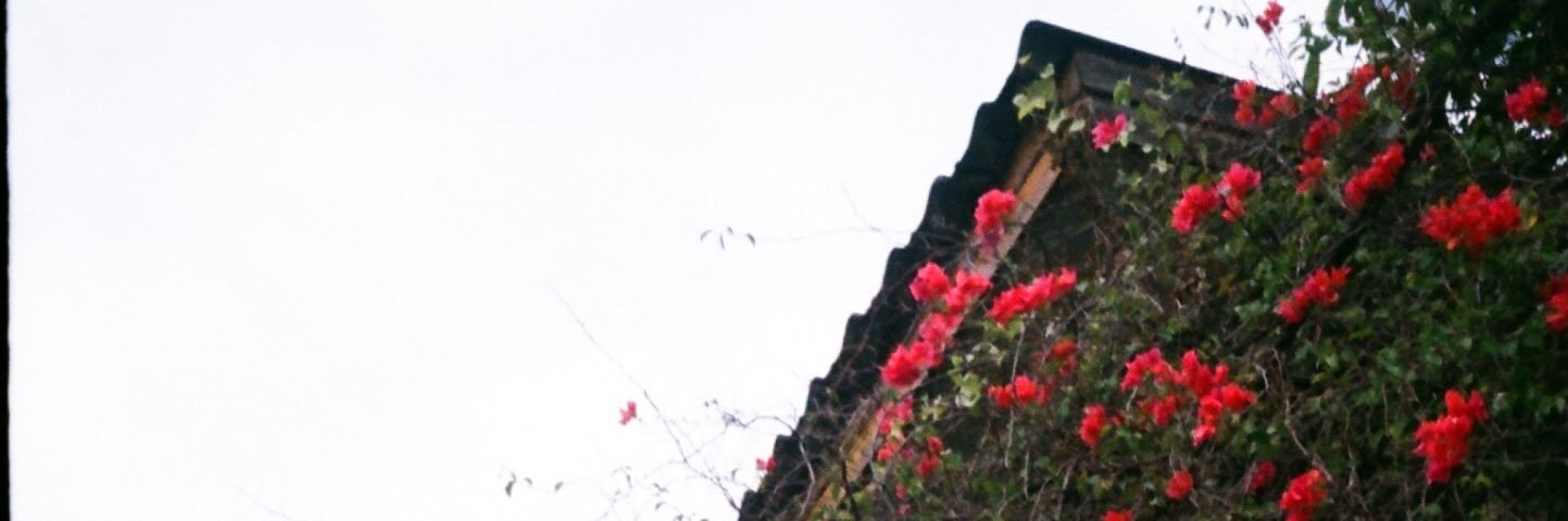 jj ♡ banner