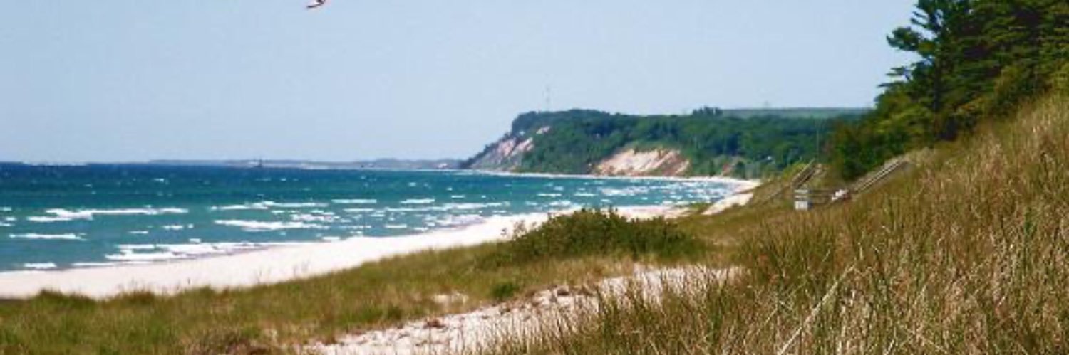 Rebecca Swander banner