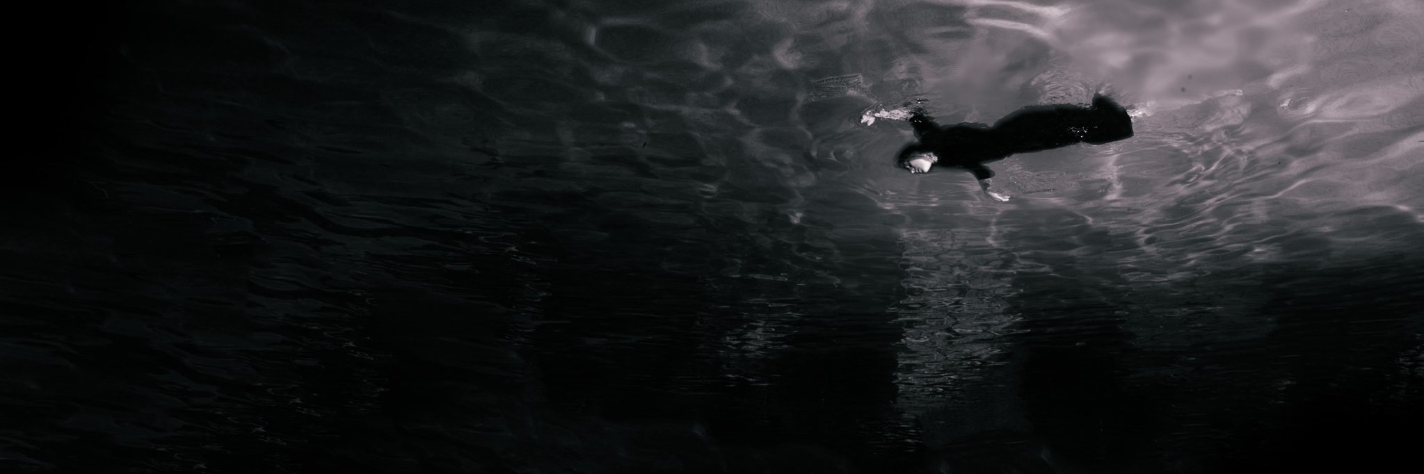 JustinHallPhoto's profile banner image