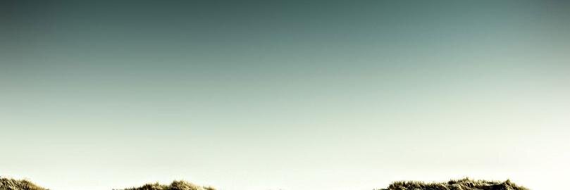 Валентина banner