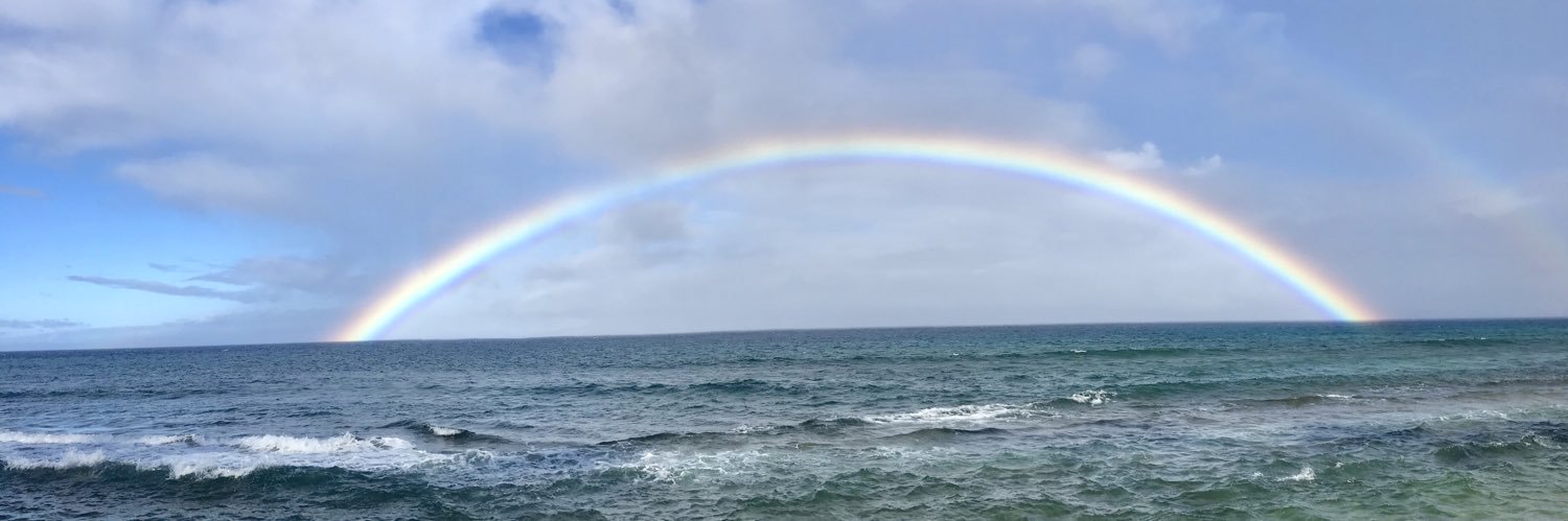 lizvreed's profile banner image