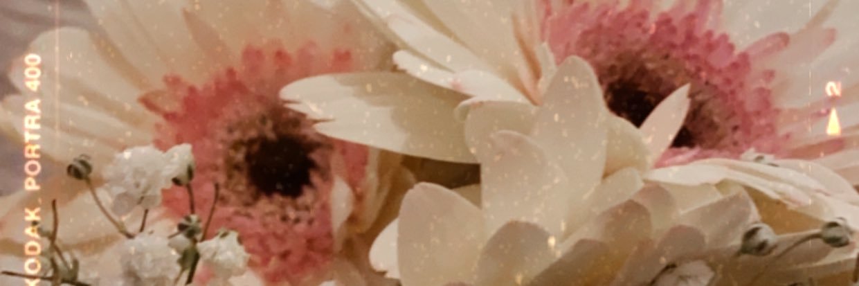 Ash banner