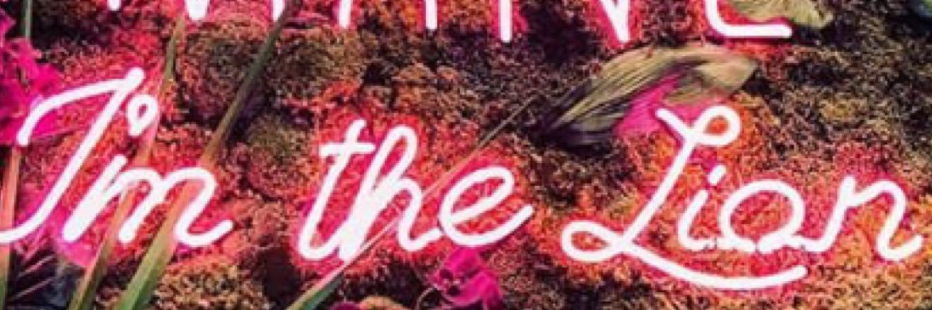 DomiElise's profile banner image
