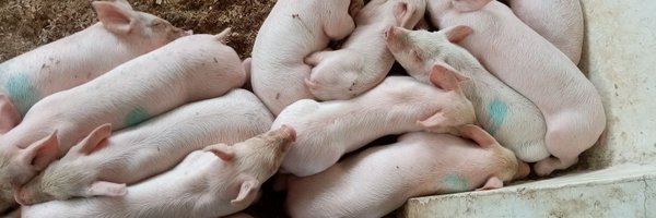 fredobola Profile Banner