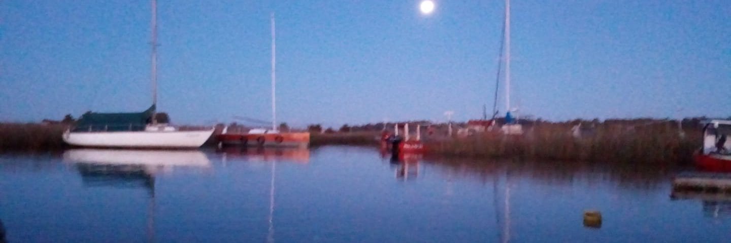 Eduardo Barreneche banner