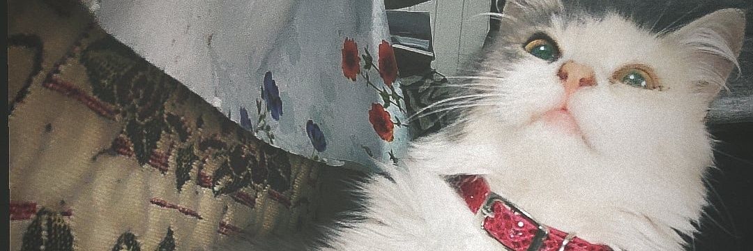 vickakiii's profile banner image