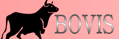 bovisblog's profile banner image