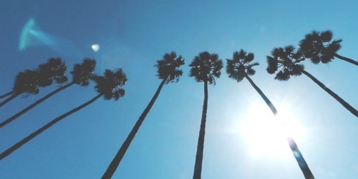 damonafgdr's profile banner image