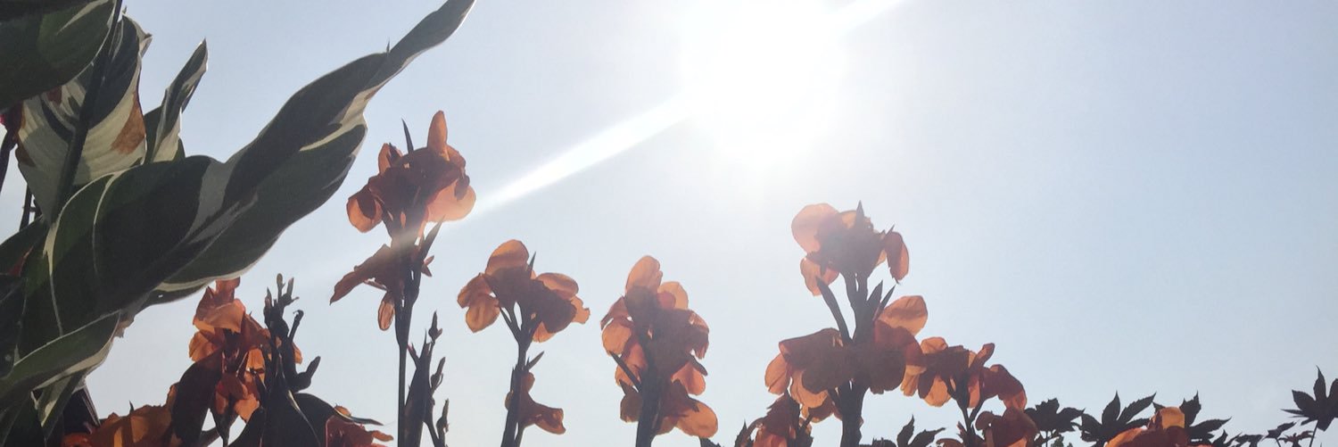 Ben_Bunce's profile banner image