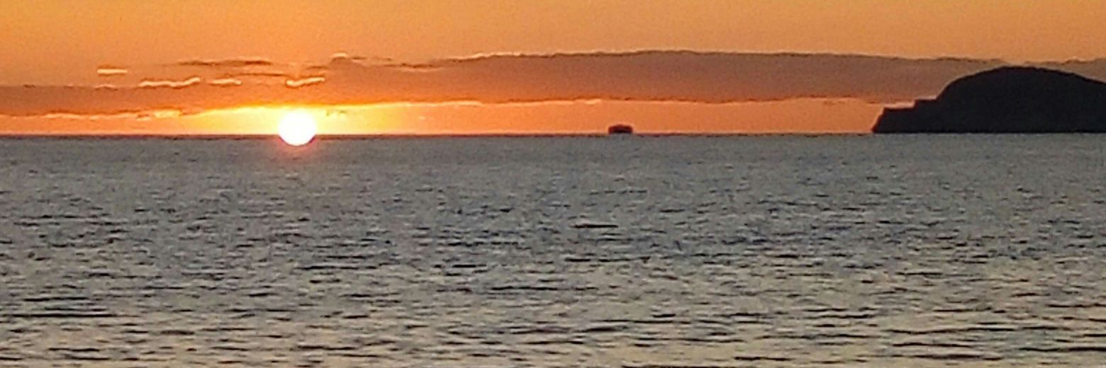 Anna Maria. banner